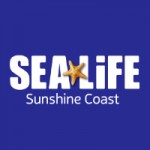Sea Life