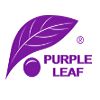 Purple Leaf
